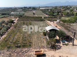 Rustic land, 46893.00 m², Camino DEL REMEI