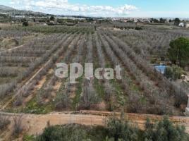 Rustic land, 7201.00 m², Partida PDA PLANES DEL ROQUÍS POL 3 PARC. 47