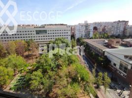 For rent office, 502.75 m²