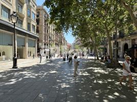 Otro, 485.00 m², Avenida del Portal de l'Àngel