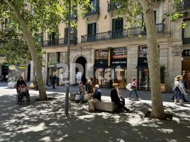 Otro, 485.00 m², Avenida del Portal de l'Àngel