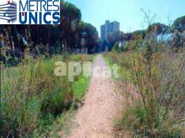 Rustic land, 4657.00 m², Calle Pinedes, 19