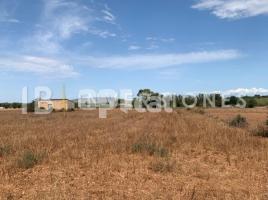 Suelo rústico, 358.00 m², Manacor Centro