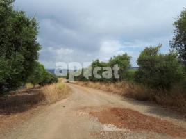 Rustic land, 36206.00 m², Sector Palomeres