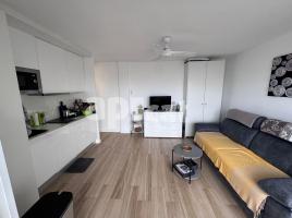 Study, 40.00 m², Calle de la Punta Prima