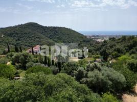  (casa rural), 1250 m²